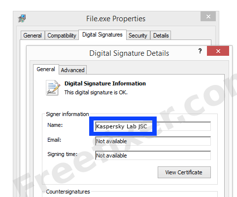 Screenshot of the Kaspersky Lab JSC certificate